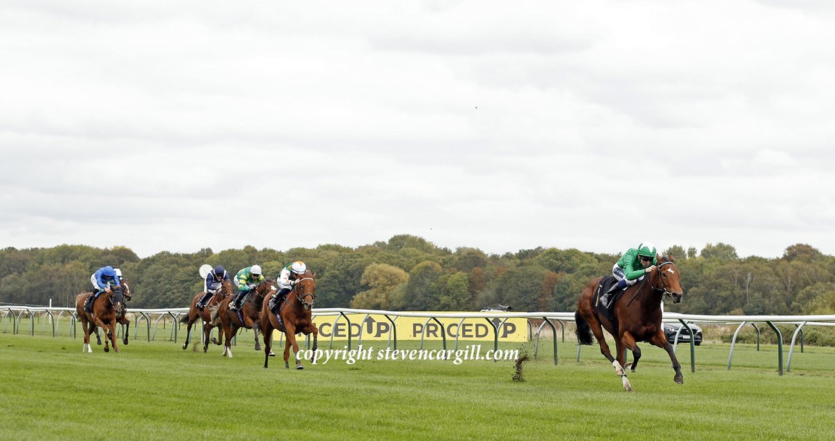 Steven Cargill tweet media