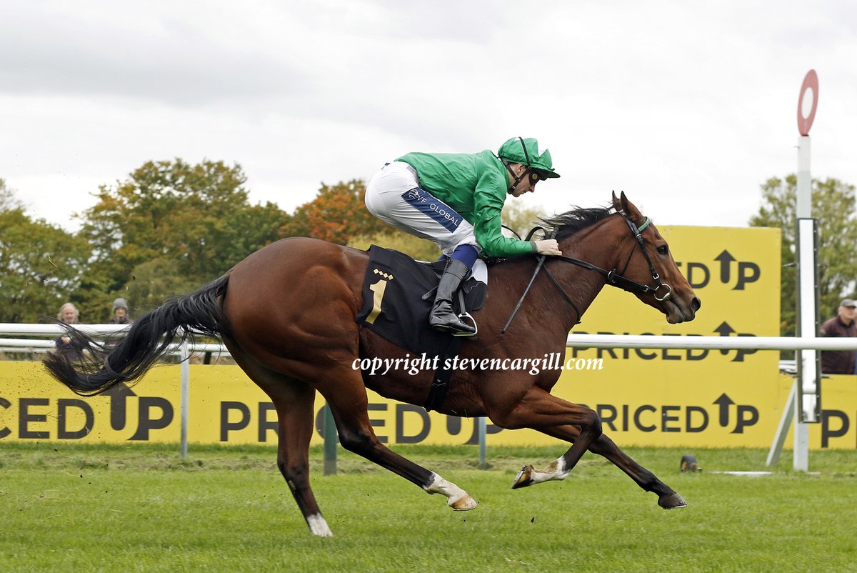 Steven Cargill tweet media