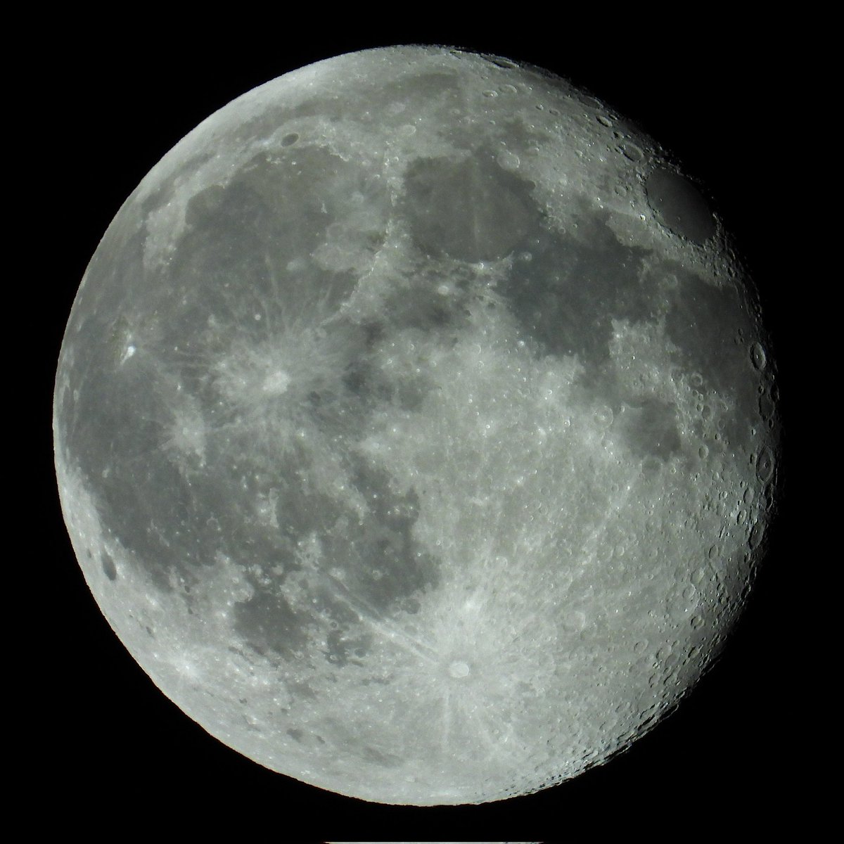FunkyAppleTree's tweet image. 🌖 GORGEOUS!!!
95.5% illuminated @StormHour @ThePhotoHour #London