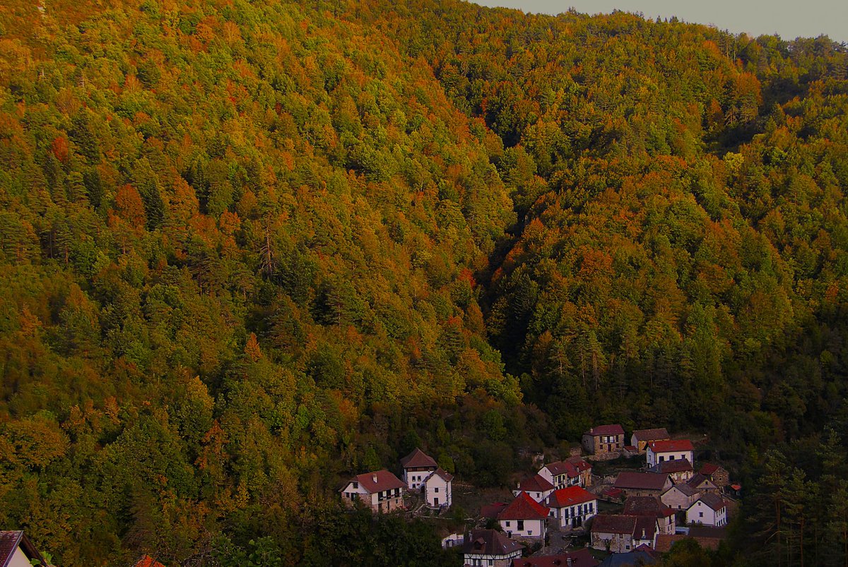 lakukula's tweet photo. Tonalidades cromáticas de otoño en los bosques del Pirineo navarro en torno al pueblo de Uztárroz, en el valle de Roncal. Fotografía cortesía de Pedro Pilart 🍃🍂🐿 https://t.co/EB6r09cvH5