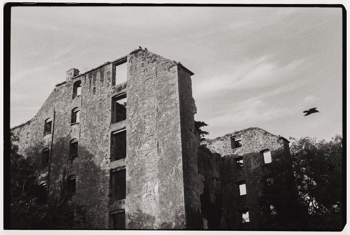 Austra Lopith tweet media