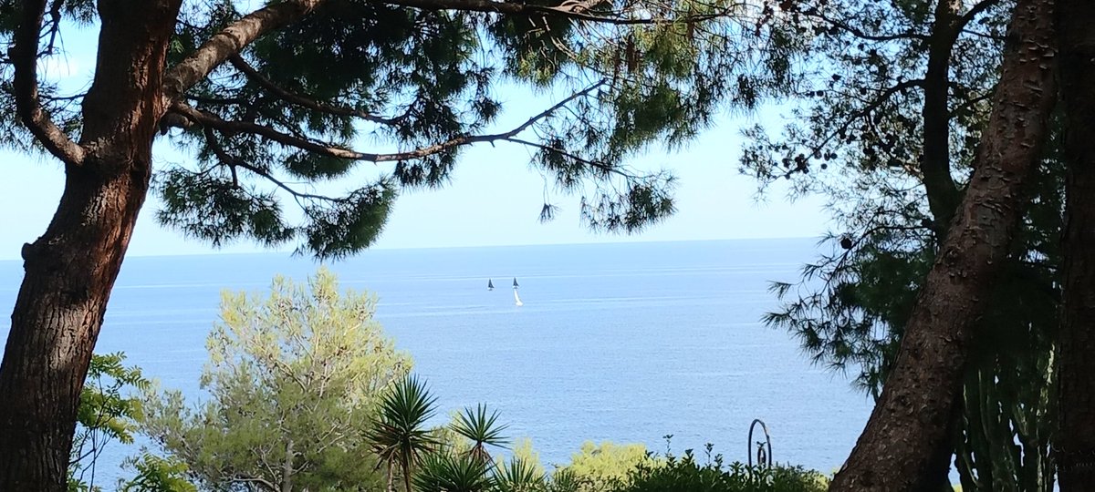 Languages at AGSB tweet media