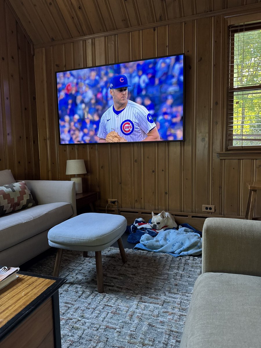 eldirtyflamingo's tweet image. Dog on cubs blanket luck engage