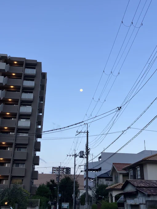 ねこ様ロッパーで目覚める朝 風が強いが雨は降っていないので散歩 月が朝の空に美しい これは若い月だからキエルさんだね