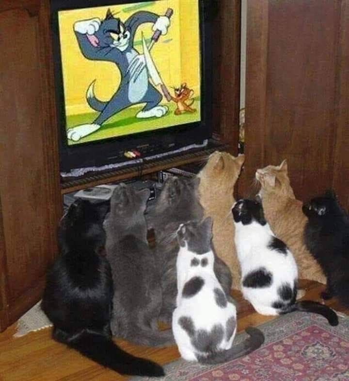 "FINISH HIM TOM"