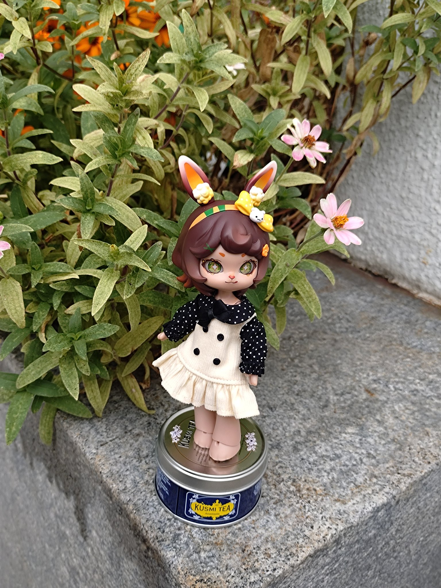 ボニーバニー - Search / X