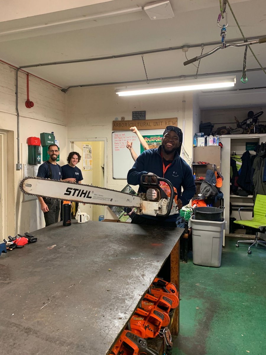 Day 10: Dequan booting up for a morning with the Kew Tree Gang, learning the ropes with climbing and safety with the chainsaw, on #DPLUS215 training <a href="/UKBCFs/">Biodiversity Challenge Funds</a> <a href="/BVIGovernment/">Government of the VI</a>