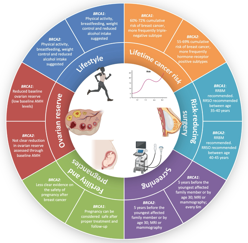 RobertoBoreaMD's tweet image. Managing #breastcancer in young #BRCA carriers women is uniquely complex. Our review highlights the critical need for a personalized, multidisciplinary approach to optimize treatment, long-term outcomes, and toxicities
➡️pmc.ncbi.nlm.nih.gov/articles/PMC12…
@matteolambe @Lucarecco