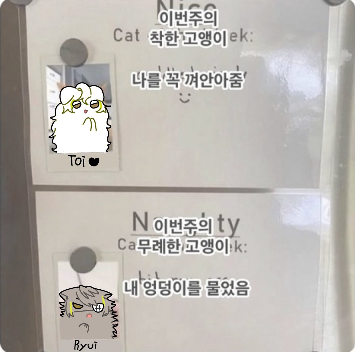 망재 tweet media