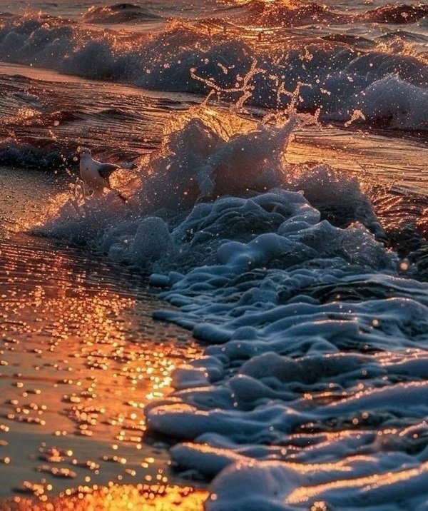 .

𝚒 𝚣 𝚒 𝚗   𝚟 𝚎 𝚛 𝚖 𝚎...

𝚍𝚎𝚛𝚒𝚗𝚕𝚒𝚔𝚕𝚎𝚛𝚒𝚗𝚎 𝚍𝚘𝚔𝚞𝚗𝚞𝚢𝚘𝚛 𝚟𝚎
𝚜𝚎𝚗𝚒 𝚒𝚗𝚌𝚒𝚝𝚒𝚢𝚘𝚛𝚜𝚊.

                          ,, 🩶🤎