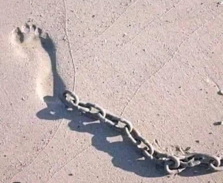 Salman_imran11's tweet image. کوچہ ء ہجر میں آواز لگائی ھم نے 
اہلِ زنجیر اٹھو ، آؤ کوئی بات کرو۔۔۔
😉
#اردو_زبان