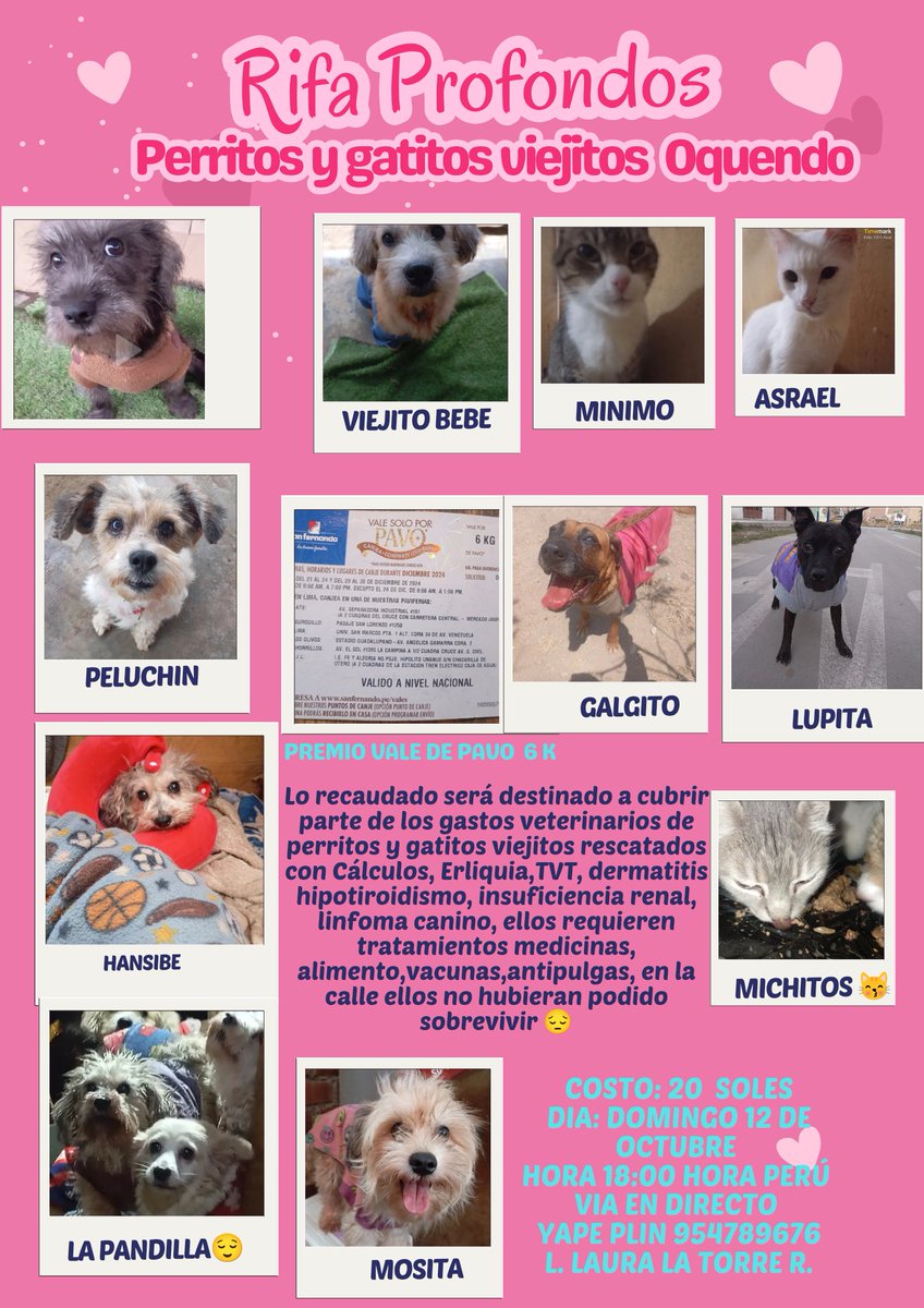 lauralt2024's tweet photo. Hola a Todos a pocos días de la RIFA PROFONDOS 🐕 😽😌 que es impostergable y solo se han vendido 30 rifas😞,este camino es largo y solo lo hago por tenerlos seguros y protegidos, y poder dentro lo que se pueda ayudar a los que aún están en las calles de la zona donde resido,🙏rt https://t.co/OO37kVfotI