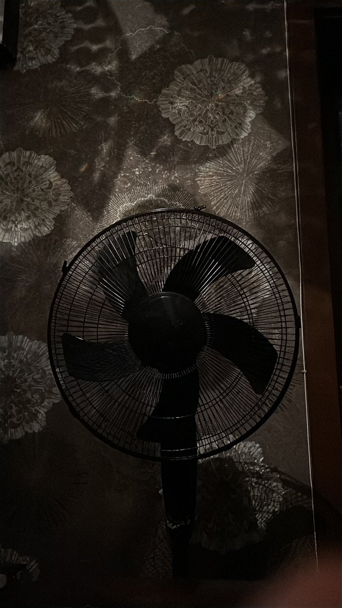 hadi simdi siktir git koyune aq balonu