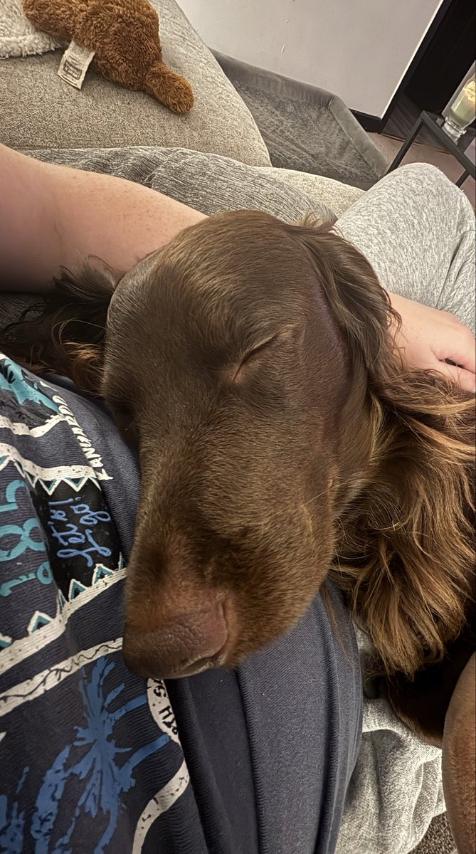 Sleep tight handsome! 

The world is a better place with you in it Coops! 

God, he’s so cute isn’t he? 🥰

😴