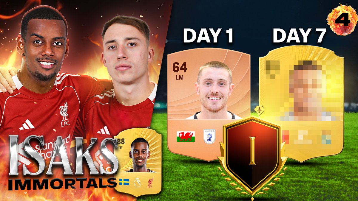 Alex Shaw tweet media