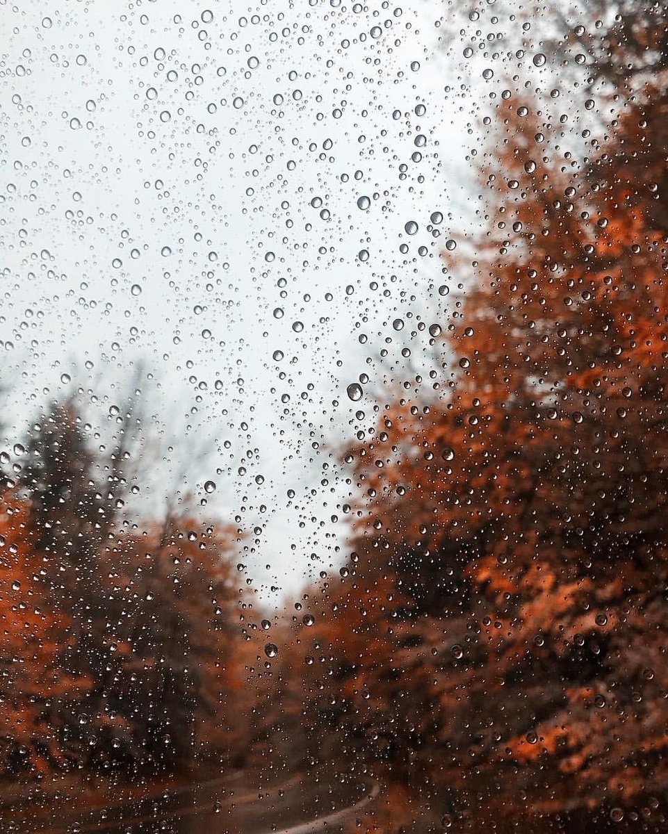 23 more days till halloween 🌧️
