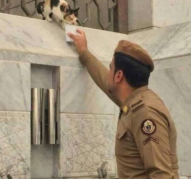 Saudiic's tweet image. 