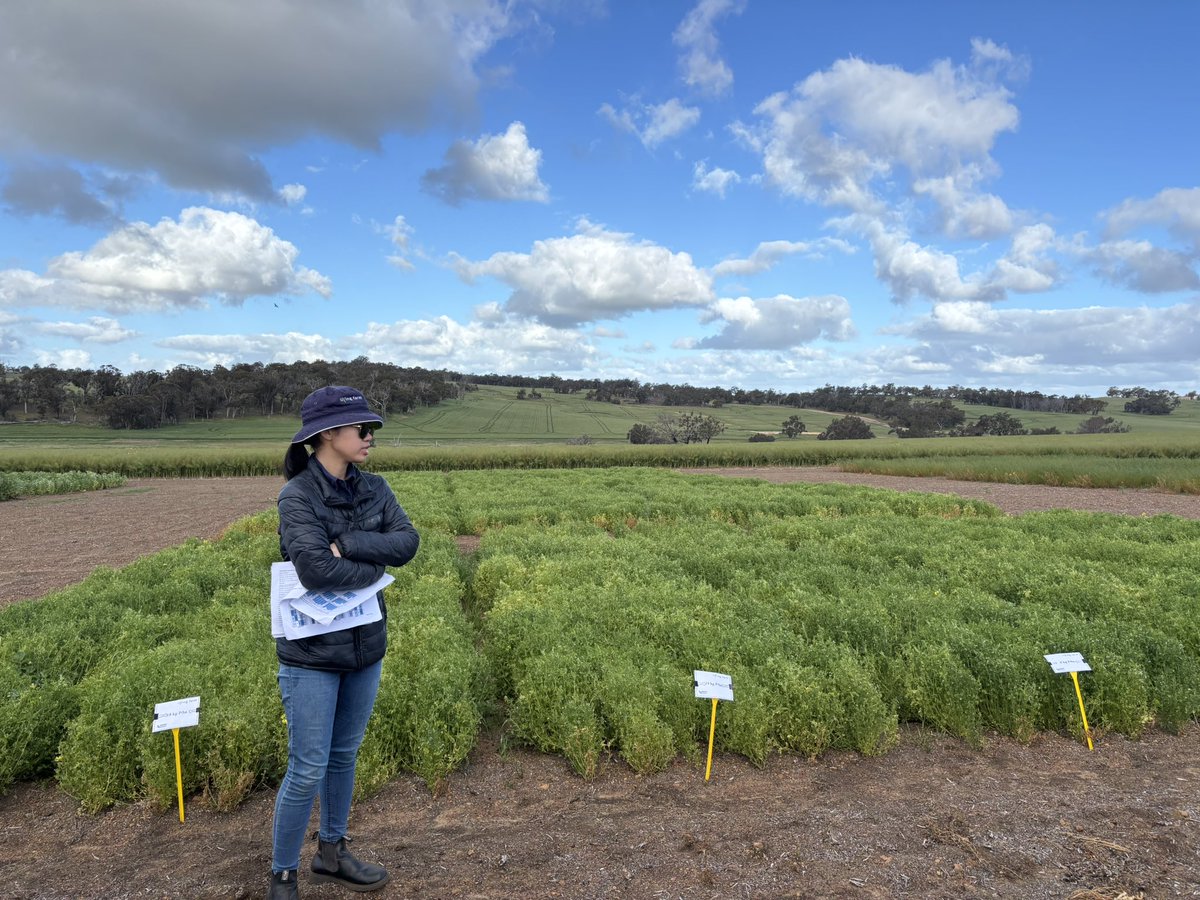 A fantastic discussion and turnout to the Southern Dirt Field Day where we showcased one of our <a href="/GRDCWest/">GRDC West</a> Fertilising Grain legumes trial sites. The trials are looking at Phosphorus response curves in grain legumes. Well done Gemma for presenting!