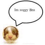 ModderOwls tweet media