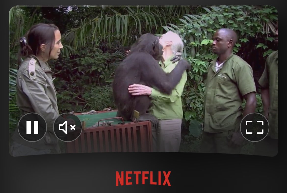 Recomiendo el bello y esperanzador mensaje que deja Jane Goodall a la humanidad: “Últimas palabras célebres” (Netflix). Nos invita a hacer pequeñas acciones diarias para conservar el planeta y propone subir a Trump, Putin y Netanyahu a un cohete para enviarlos fuera de la Tierra.
