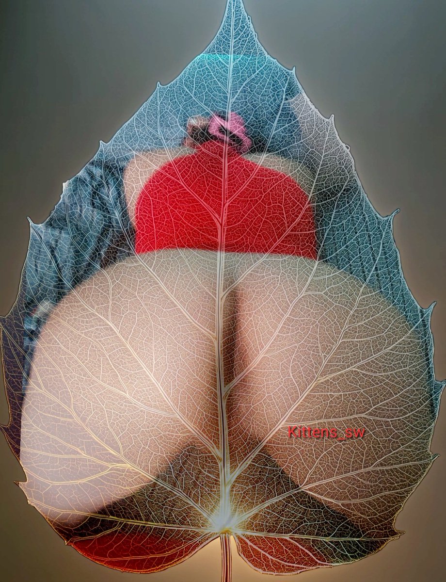 Bonita tarde para todos. Qué se les antoja con este clima?  
#hotwife
#esposazorrita #esposaputa
#putita #esposacaliente