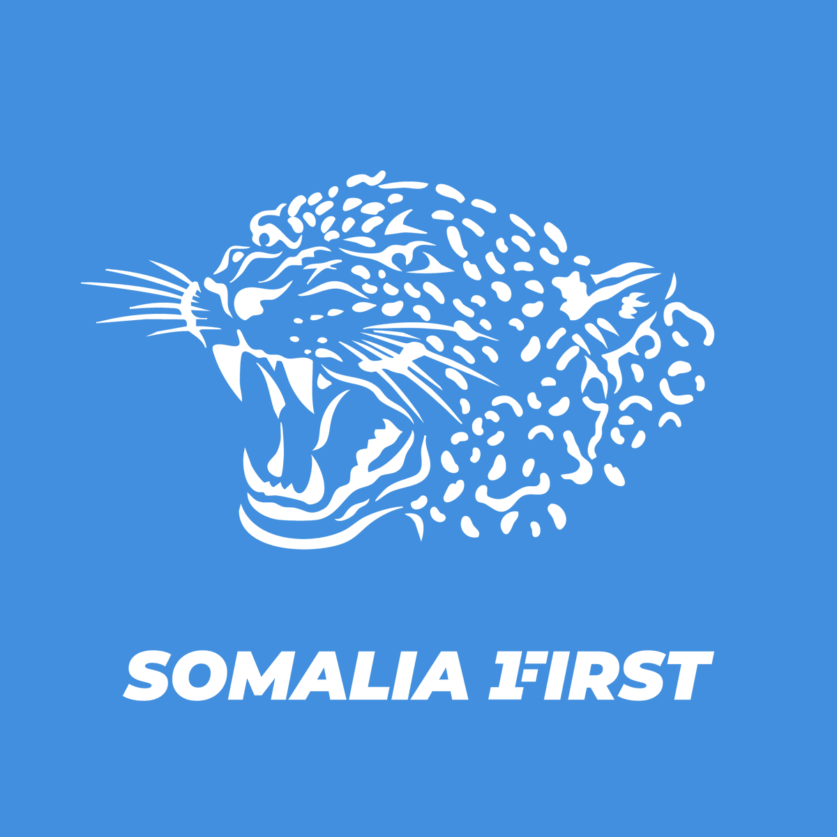 The United Greater Somalia tweet media
