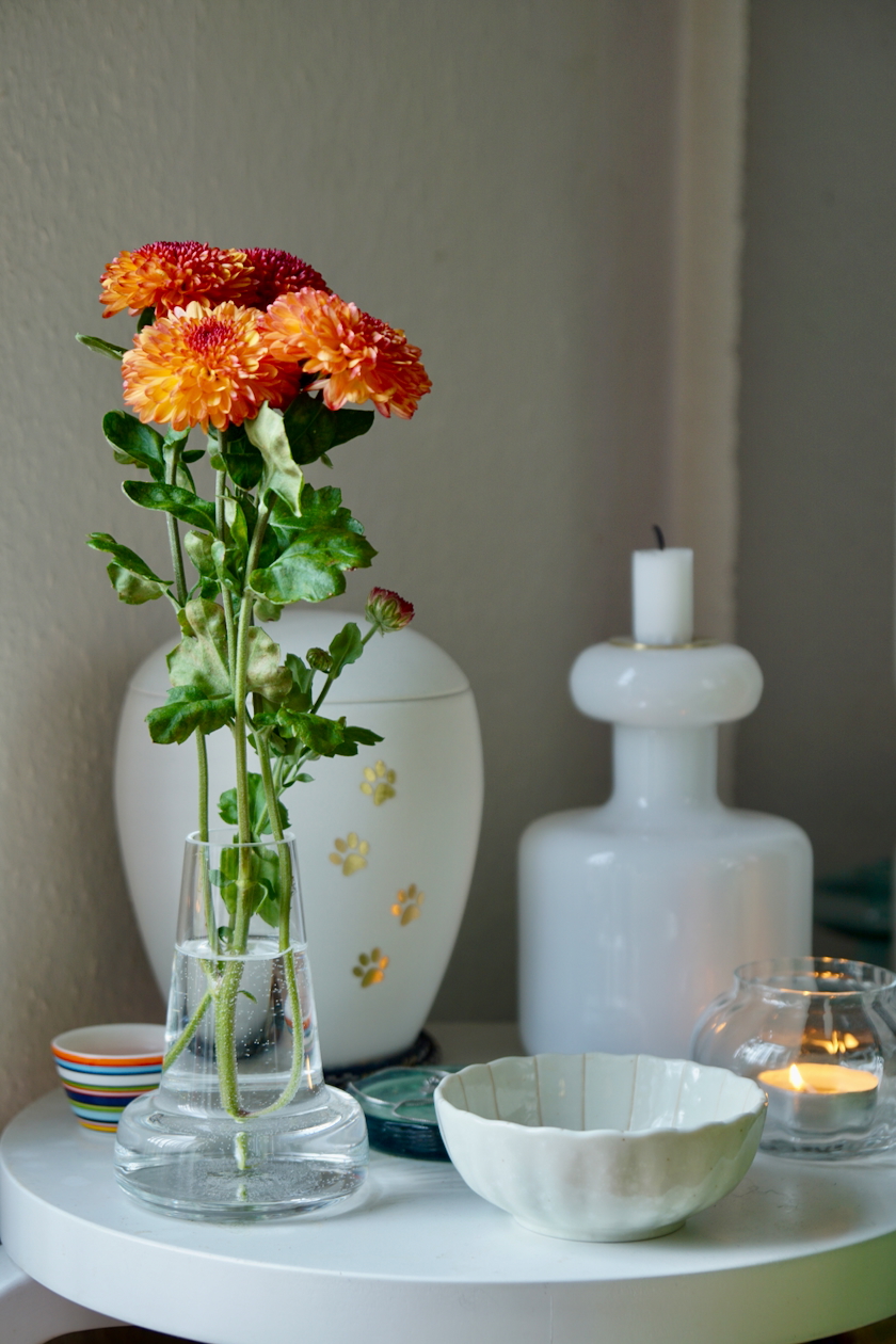 最終お値下げ　イッタラ　カーディナルバード 楽天市場】＼月初限定P5倍／ イッタラ IITTALA バード バイ