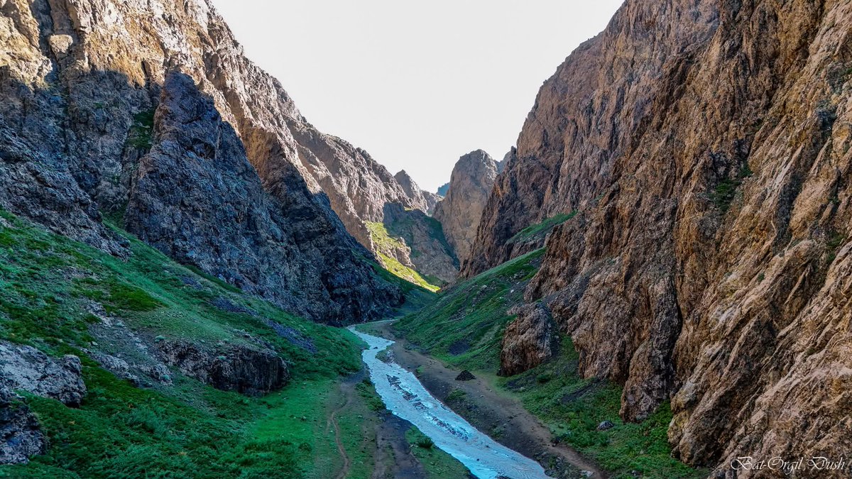 Өглөөний мэнд....