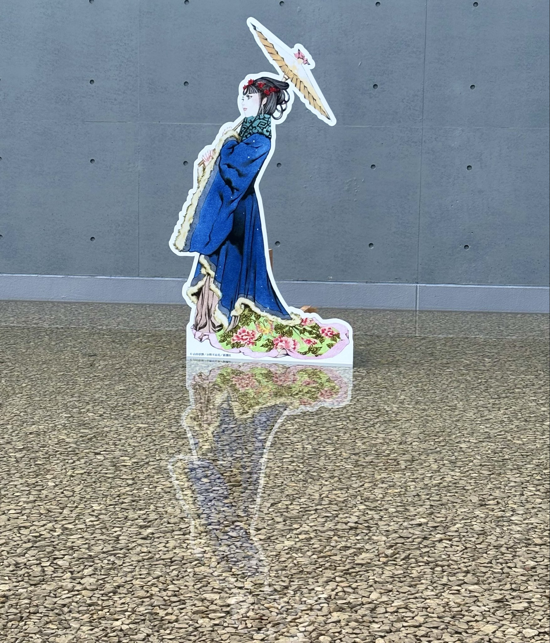 ⭐︎断捨離中⭐︎ページ 緩衝スプリング＆大径タイヤ】ペットカート Lsize 対面式 分離式