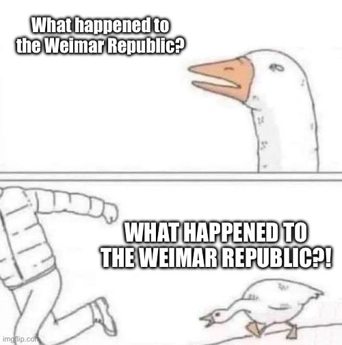 jens2go's tweet image. 🤨