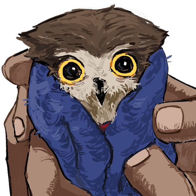 limxaewon's tweet photo. owl viktor https://t.co/yNXt2RfMhh