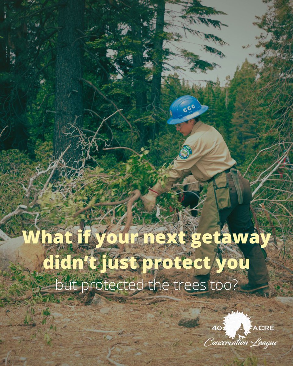 40 Acre Conservation League tweet media