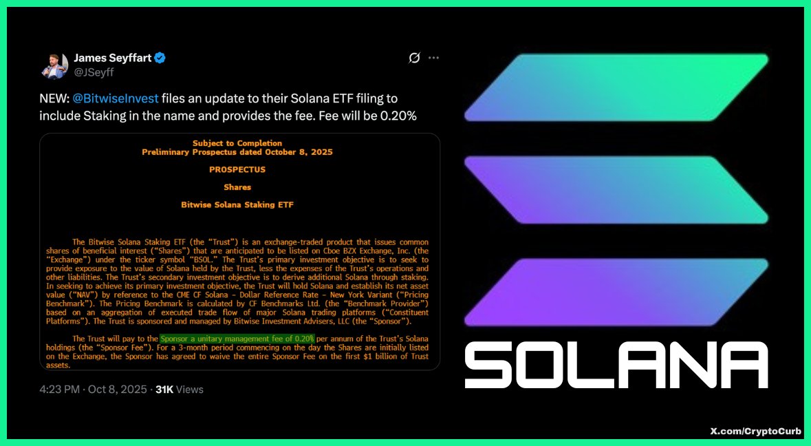 追跡あり/匿名配送】【RF】Great Library of Solana 追跡あり/匿名配送