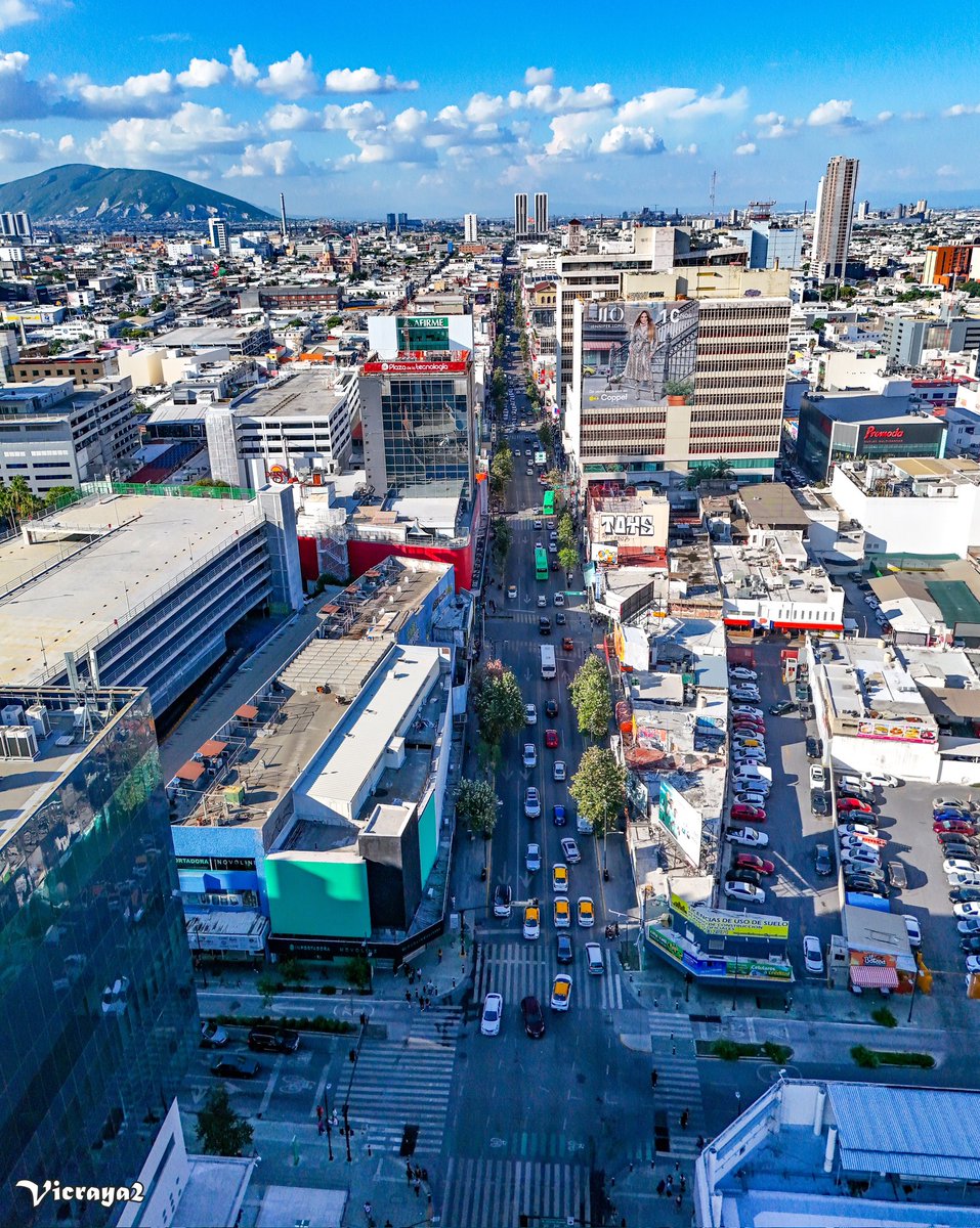 Vicraya2 Monterrey tweet media