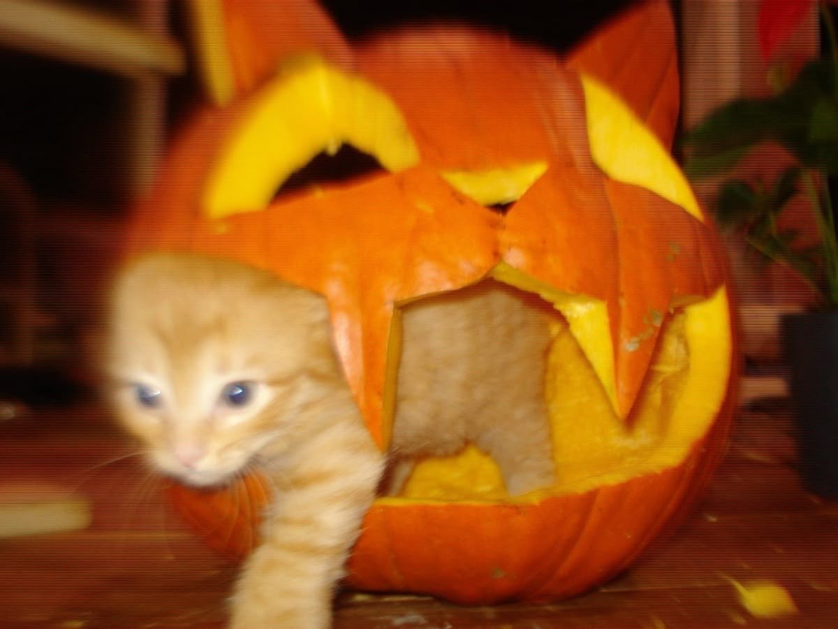 Thinkwert tweet media