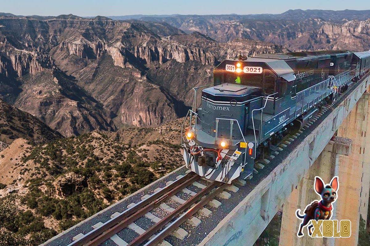 El Chepe weaves through the Copper Canyons like a serpent of steel 🛤️  
Xolo rides its rhythm—through Rarámuri lands, cliffside legends, and sacred silence.  
Not just a train. A pilgrimage in motion.  
🌐 xrpxolo.xyz  
💬 t.me/+ITb9nY93ArE5N…