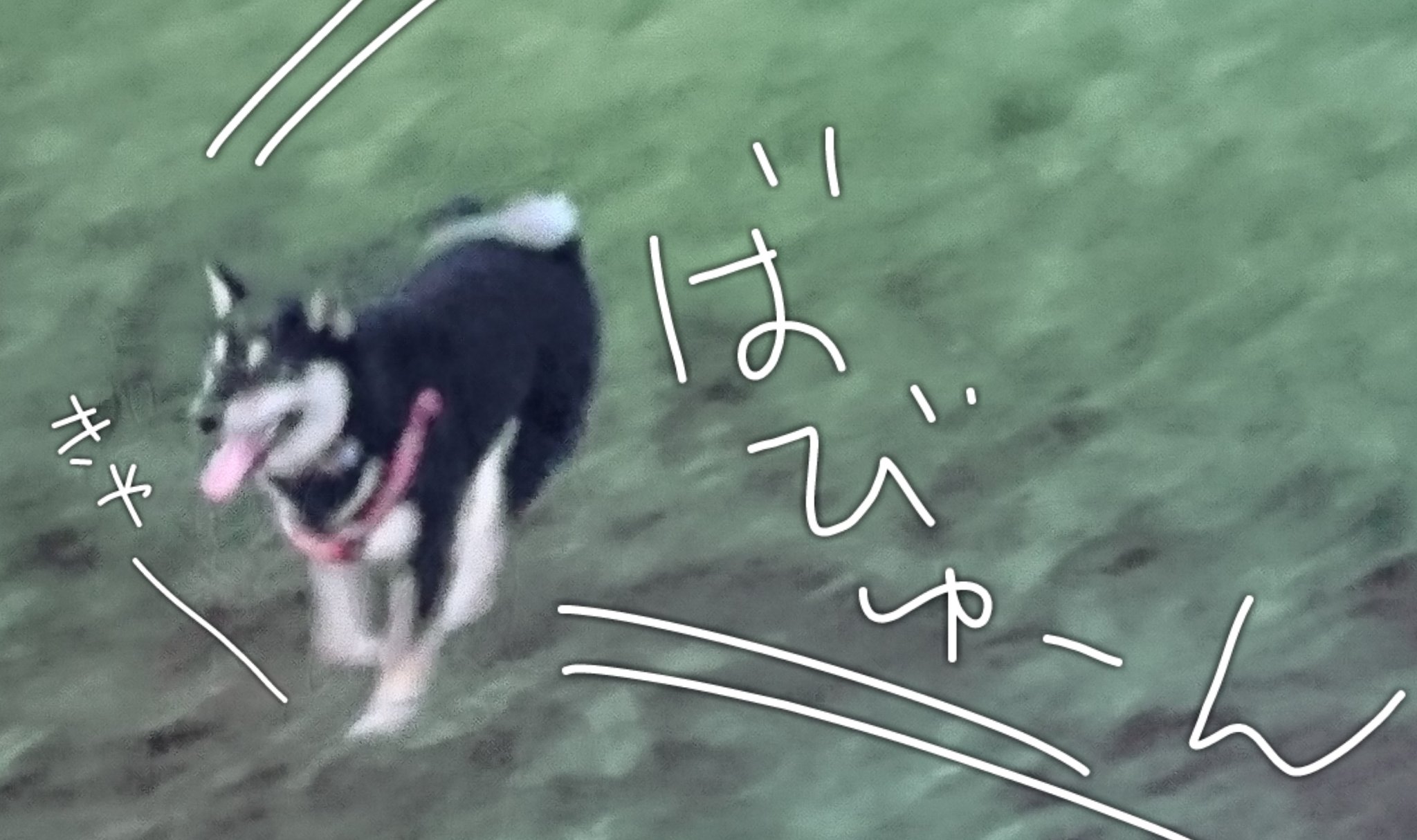 西川尊琉 (@Takeru1988) / X