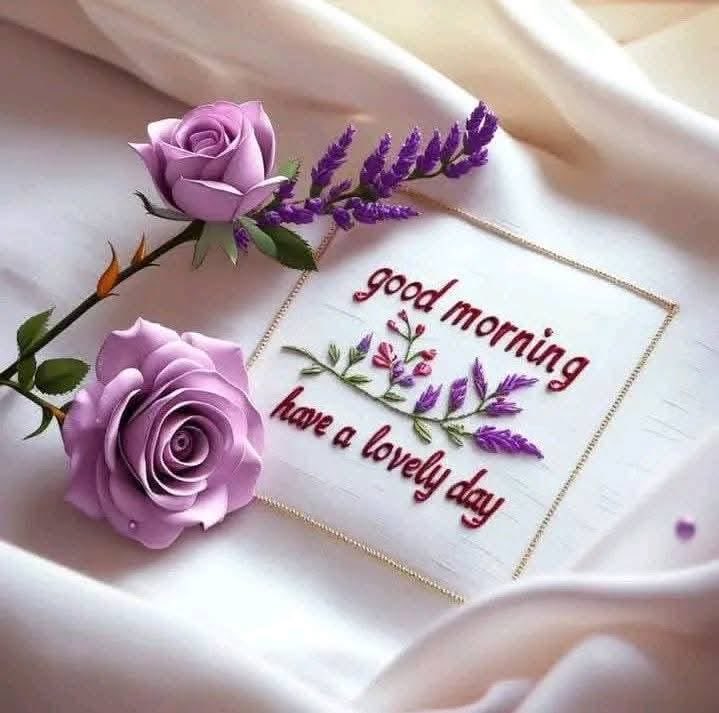 Өглөөний мэндээ Эрхэм #X-үүд🥰Өглөөг инээмсэглэн угтаж 
Өдрийг эрч хүчтэй өнгөрүүлээрэй. Амжилт 👍🥰
🍀🍀🍀
#GoodMorning 
#GoodMorningEveryone 
#GoodmorningtTwitterWorld 
#GoodMorningXFriends