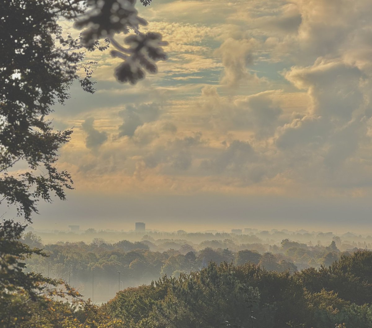 GallyonvVessem's tweet image. Dit was mijn uitzicht vanmorgen: de Zuidas gezien vanuit het Bloemendaalse bos. Toch net een schilderij?
