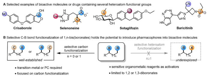 ChineseChemSoc's tweet image. .@CCSChemistry Article Highlight: Selective Boron-Heteroatom Group Exchange Reactions 

Click to read: chinesechemsoc.org/do/10.5555/8fe… 

#chemistry #openaccess #science #chemtwitter