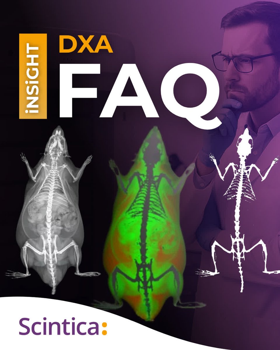 Scintica (@scinticainst) on Twitter photo Have questions about preclinical DXA imaging?
From scan speed to radiation safety, the iNSiGHT FAQ has the answers.
📄 Read the full FAQ: bit.ly/444Siw7
#DXAImaging #PreclinicalResearch #BodyComposition #Scintica Have questions about preclinical DXA imaging?
From scan speed to radiation safety, the iNSiGHT FAQ has the answers.
📄 Read the full FAQ: bit.ly/444Siw7
#DXAImaging #PreclinicalResearch #BodyComposition #Scintica