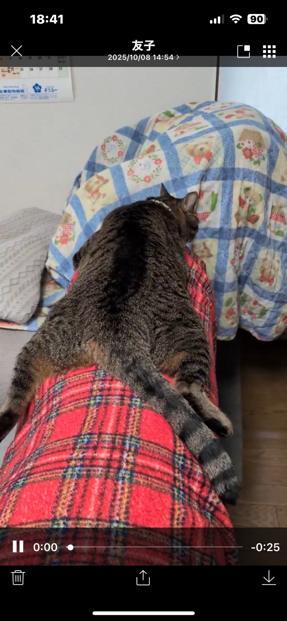 来夢 (@k2kBcTiP82T4D13) / X