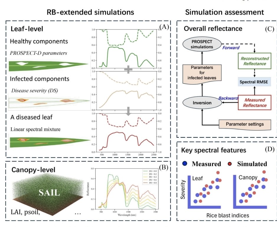 Pablo J. Zarco-Tejada (@zarcotejada) on Twitter photo Mitigating the phenological effects on rice blast detection with hyperspectral data adapting a radiative transfer model. A new step forward. Int'l collaboration led by Tao Cheng and Bowen Xue <a href="/njau_china/">China Njau</a> with <a href="/HyperSensLab/">HyperSens Lab</a> <a href="/UniMelb/">University of Melbourne</a> & <a href="/QuantaLab/">QuantaLab</a>
<a href="/IAS_CSIC/">IAS-CSIC</a>
sciencedirect.com/science/articl… Mitigating the phenological effects on rice blast detection with hyperspectral data adapting a radiative transfer model. A new step forward. Int'l collaboration led by Tao Cheng and Bowen Xue <a href="/njau_china/">China Njau</a> with <a href="/HyperSensLab/">HyperSens Lab</a> <a href="/UniMelb/">University of Melbourne</a> & <a href="/QuantaLab/">QuantaLab</a>
<a href="/IAS_CSIC/">IAS-CSIC</a>
sciencedirect.com/science/articl…