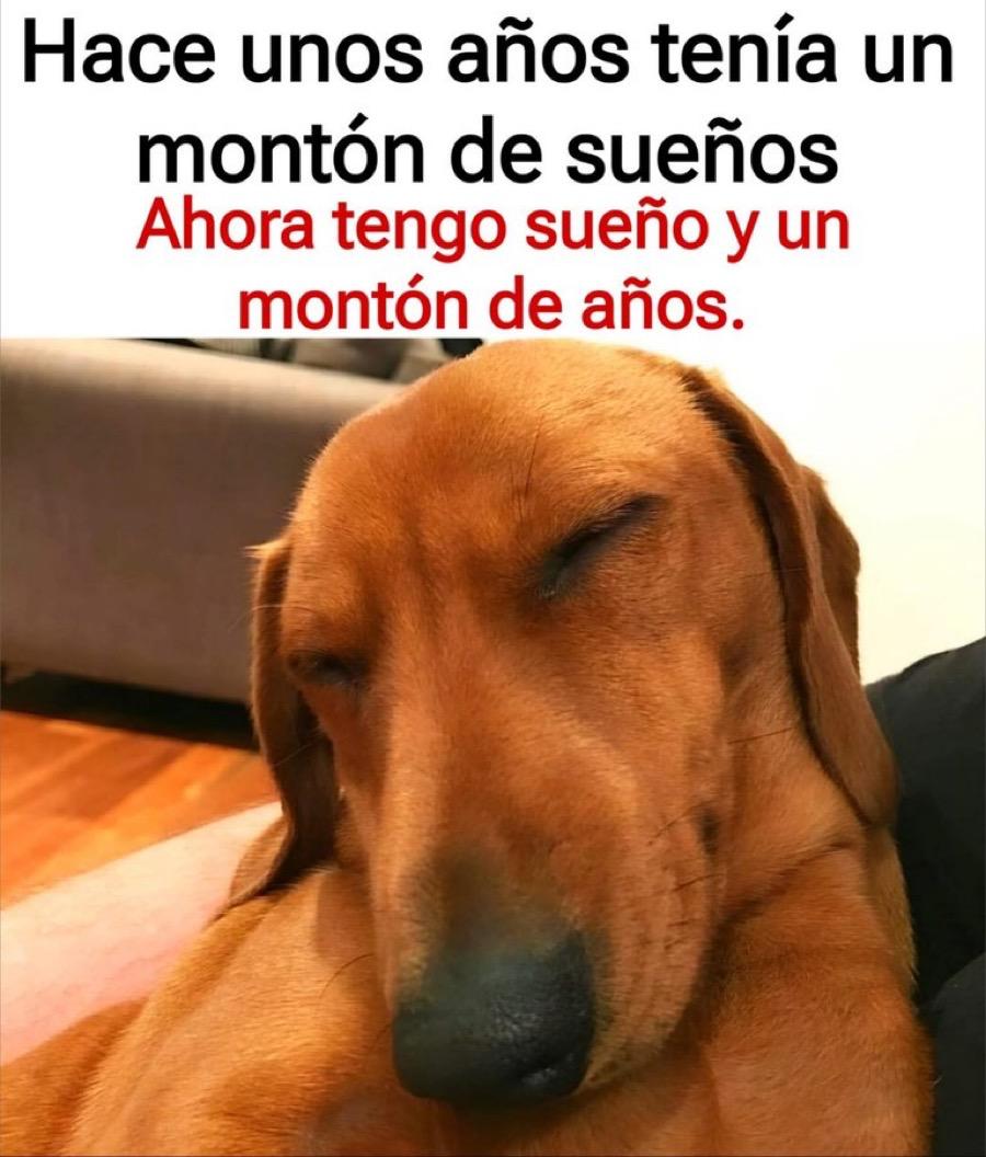 Todo cambia.
💤 💤 💤 💤