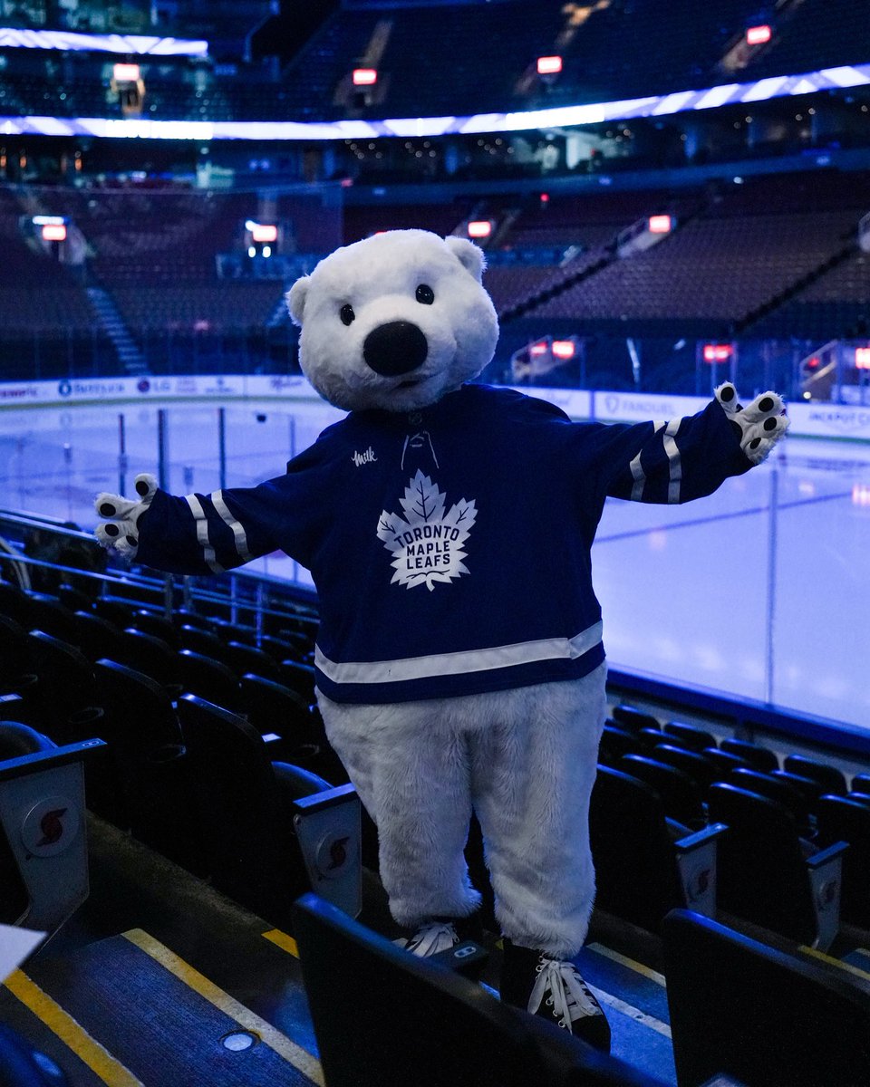 CarltonTheBear's tweet image. Home sweet home

#Leafs #LeafsForever #NHL