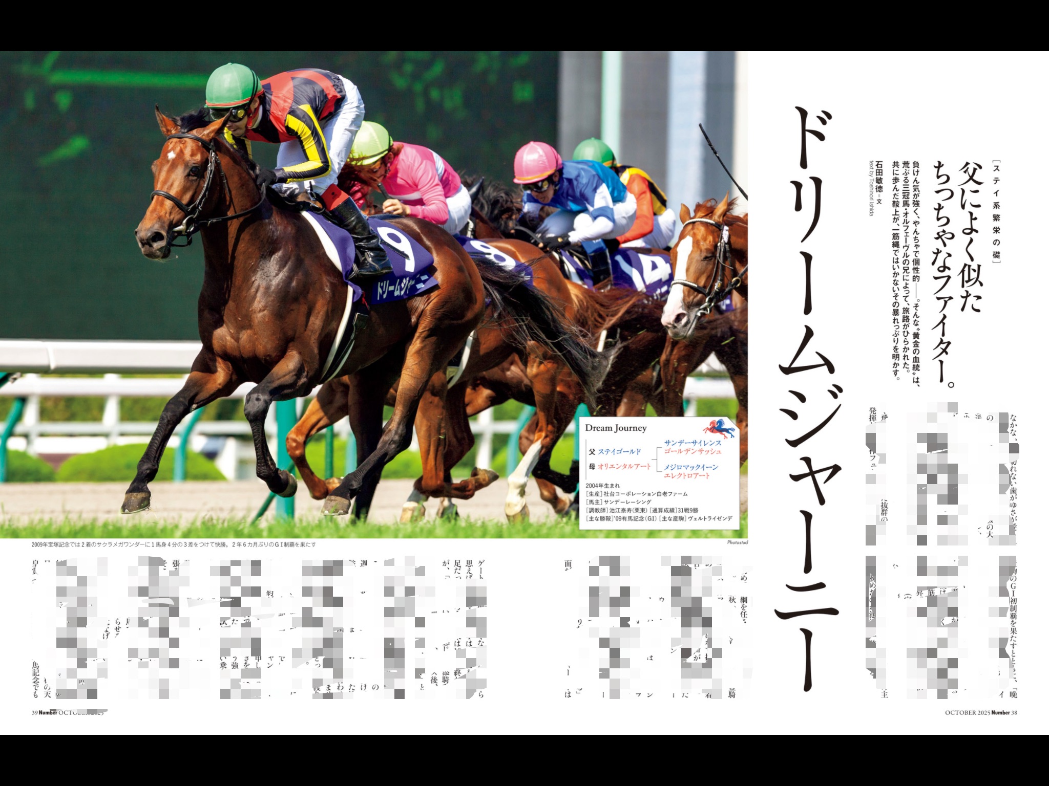 【競馬】ドリームジャーニー（2009年産経大阪杯）額入りミニゼッケン／優勝レイ 競馬】ドリームジャーニー（2009年産経大阪杯）額入りミニゼッケン