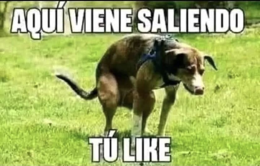 MellaGL's tweet photo. @cristian_arayal https://t.co/DsZm6WDjR7