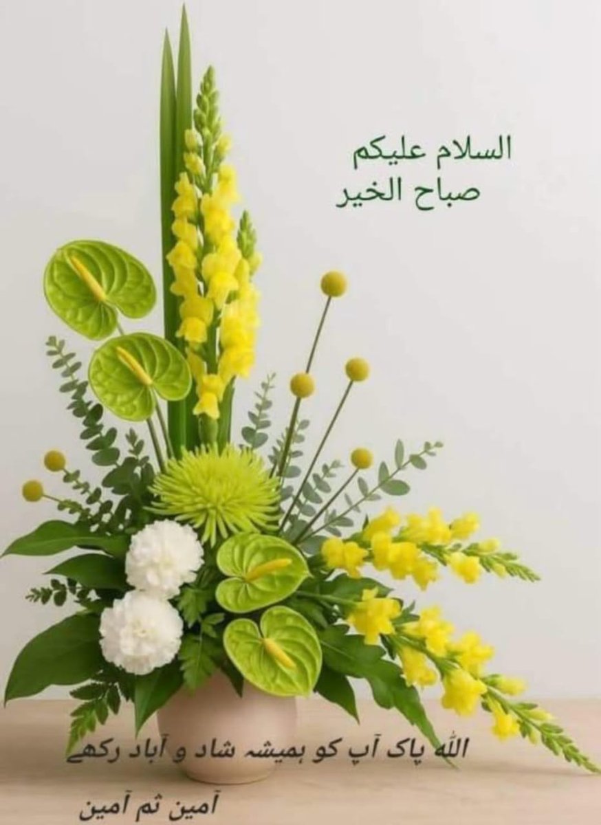 Sardar Hashim Khan Baloch (@hashimkhan461) on Twitter photo 