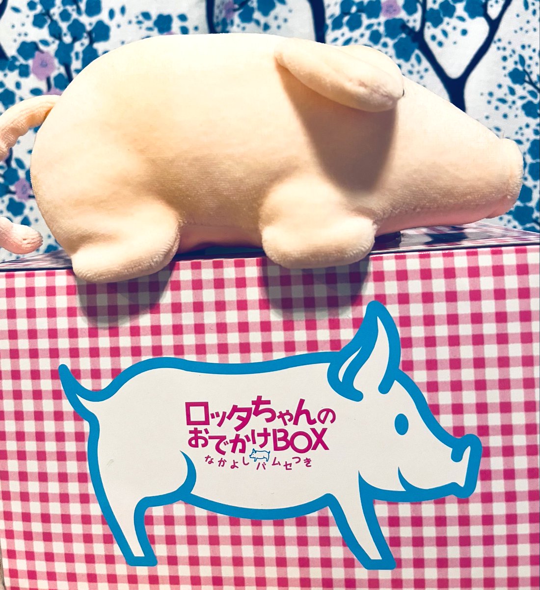 大昔発売されていたロッタちゃんのDVDセット、外箱も可愛いの件