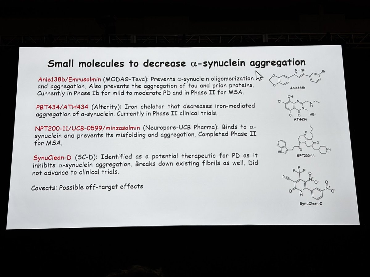 Homeostasis of alpha-synuclein in #Parkinsons missing at the ⁦<a href="/movedisorder/">MDS</a>⁩ #MDS 2025 Congress in Honolulu.

Everywhere: pathological Synuclein 
Nowhere: monomeric Synuclein 

Virtuous pursuit: lowering pathological Synuclein
Sinful thought: increasing monomeric Synuclein